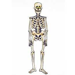 Csontváz Dekoráció Halloweenre